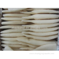 Chemical Treated IQF Frozen Squid Tube EU Standard